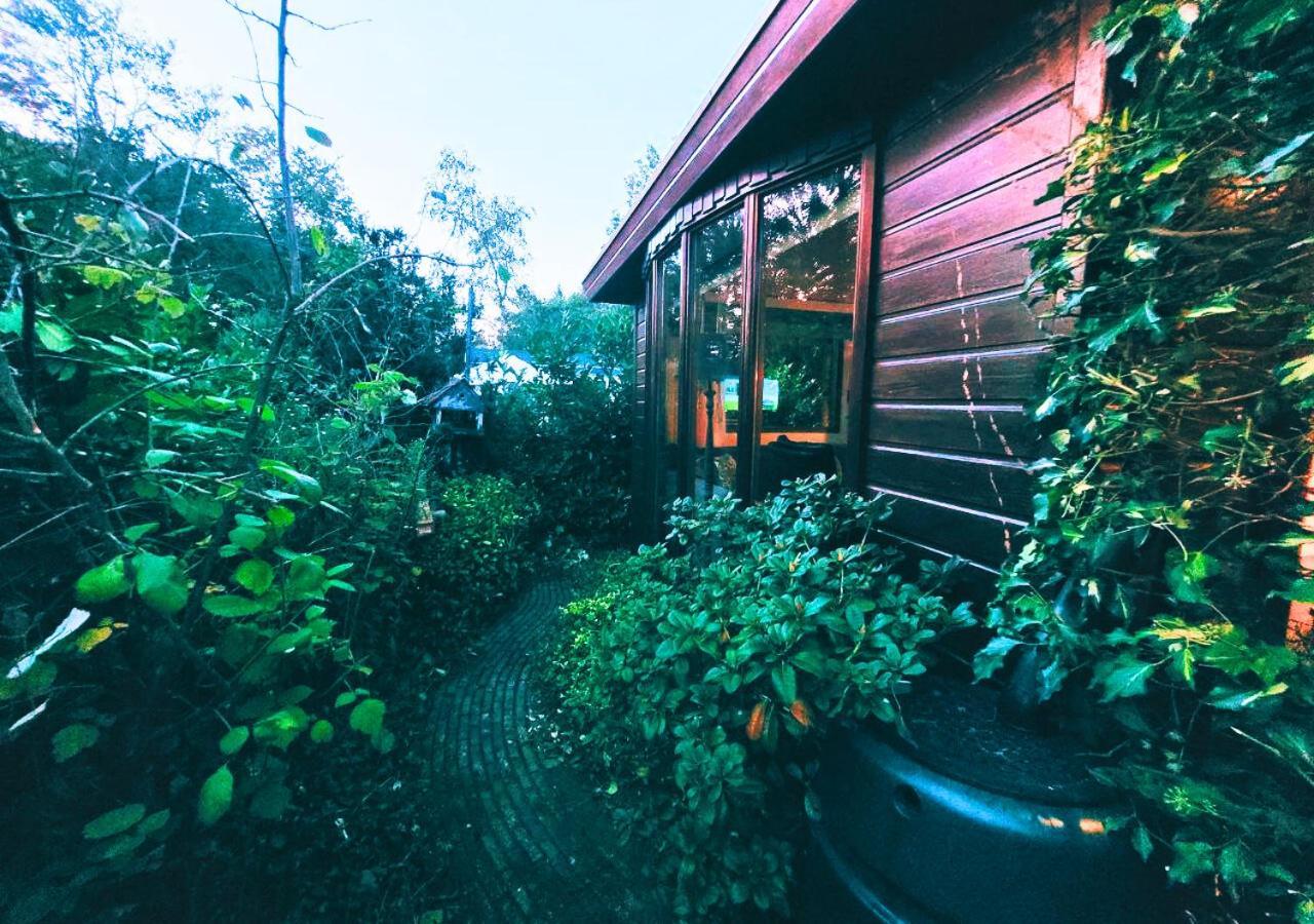 "De Jungle" Chalet Met Veranda Op Ijsselheide Hattemerbroek Veluwe Exterior photo